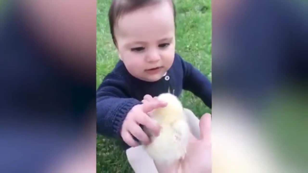 Komik ve Sevimli Bebekler - Funny and Cute Baby - Baby Videos - Bebek videoları