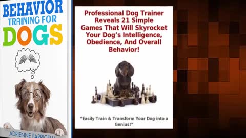 Brain training for dogs