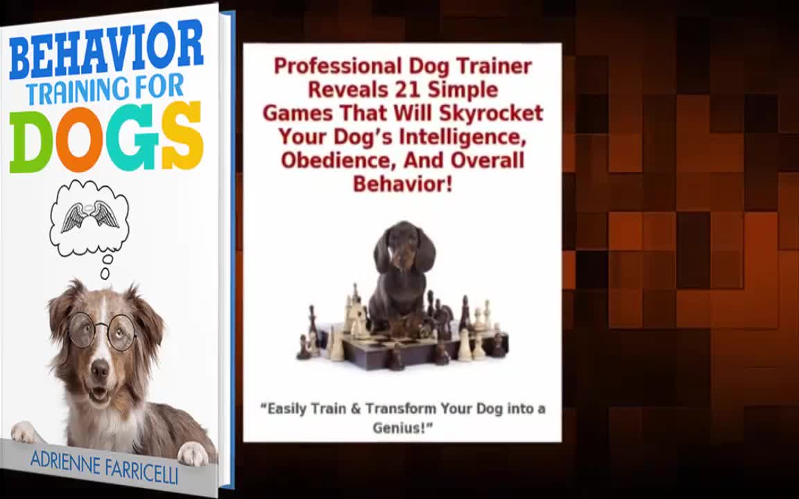 Brain training for dogs