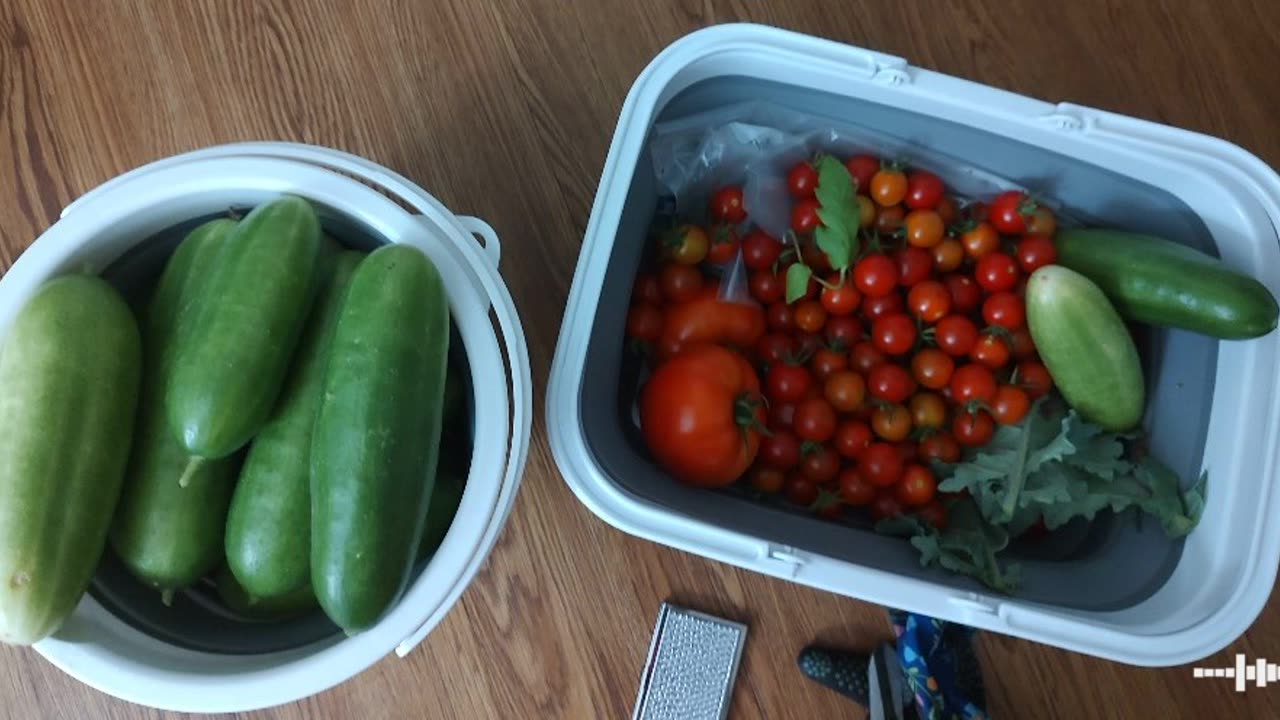 August 2024 Community Garden Haul