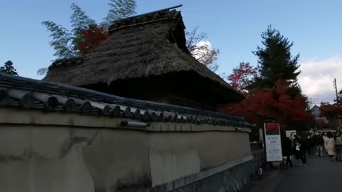 Red leaves Arashiyama Kyoto Japan #7
