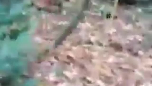 Hilarious fails compilation