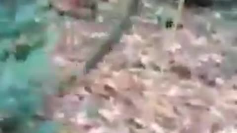 Hilarious fails compilation