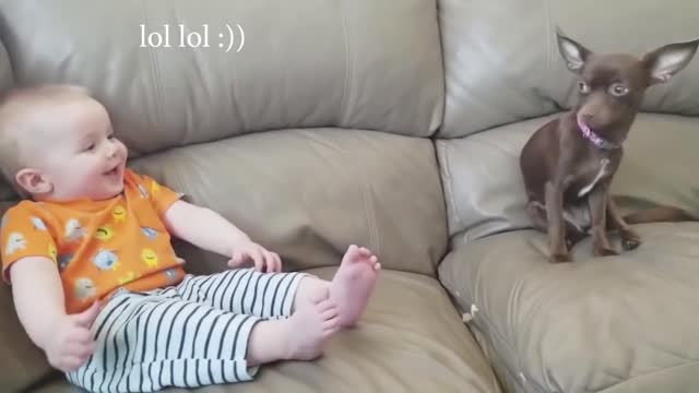 Adorable dogs and baby