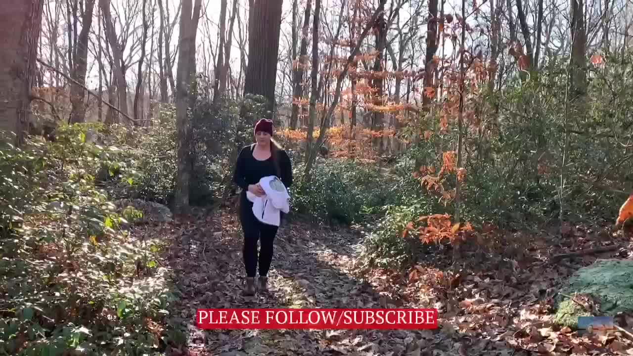 Beautiful Girl Walks through Colorful Trees