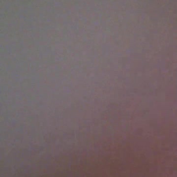 Pony Breaks Into Owner’s House