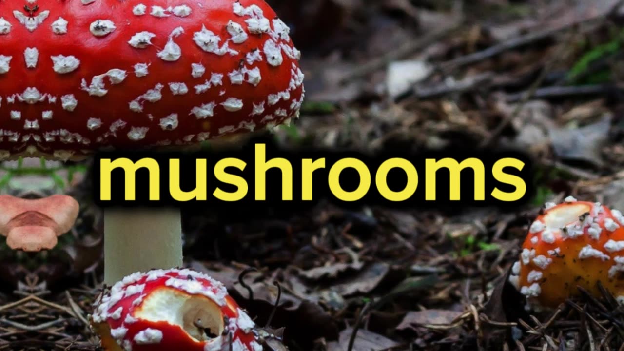 Do you eat mushrooms everyday? #health #wellness #shorts