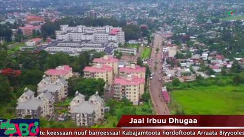 Oduu Waaree ONM-ABO Onkololessa 17-2024 itti dhiyaadhaa!