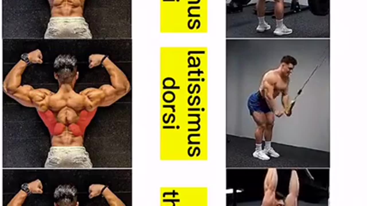 Perfect lats workout most effective and concentrate on muscle