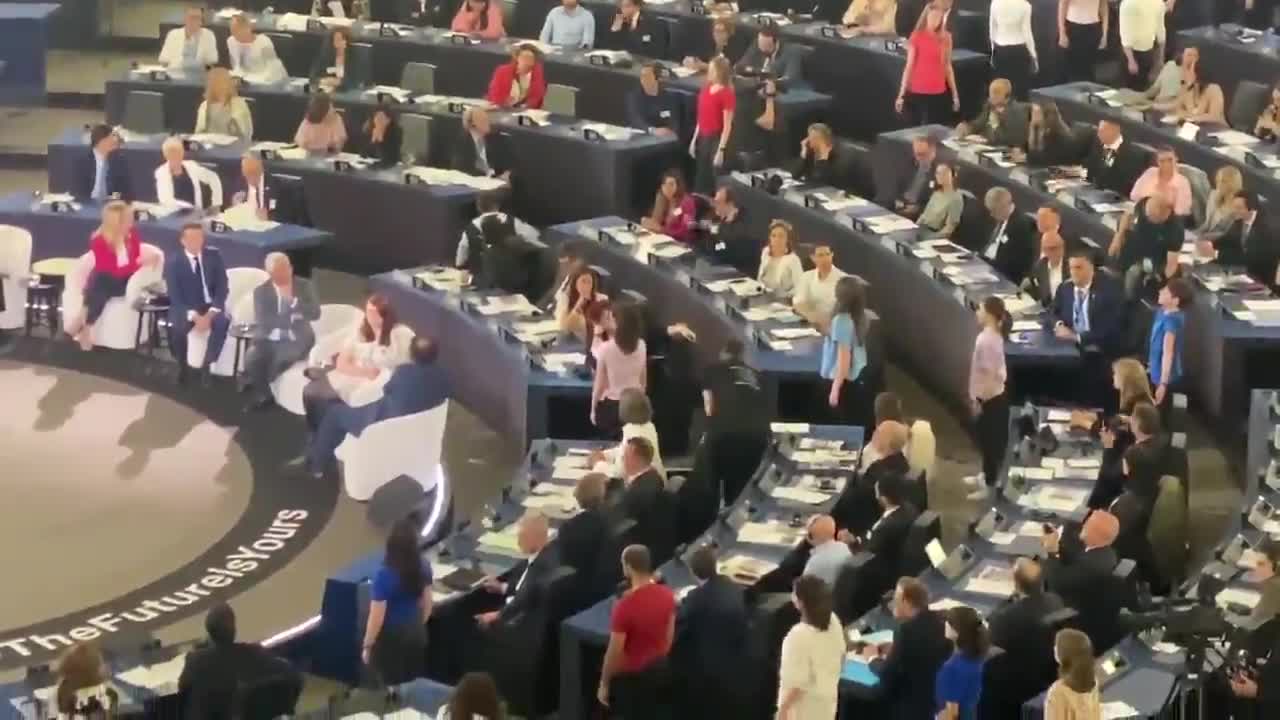3. Transformation of the European Parliament into a circus