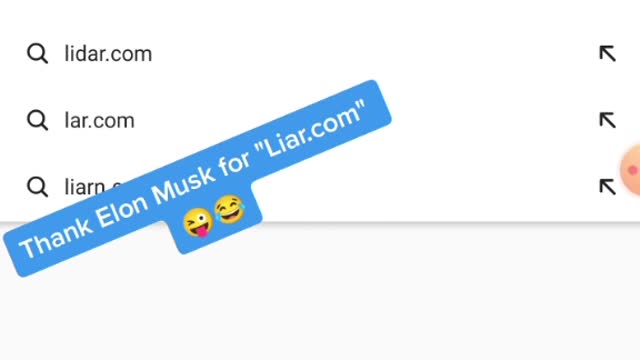 Elon Musk Buys "Liar.com" to Troll