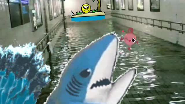 Funny, shark in the subway