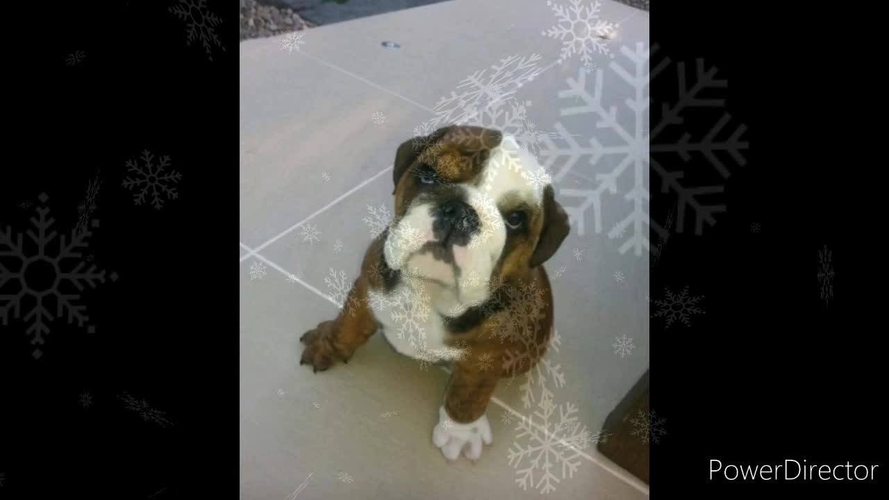 The PUBLIC has CERTAINTY