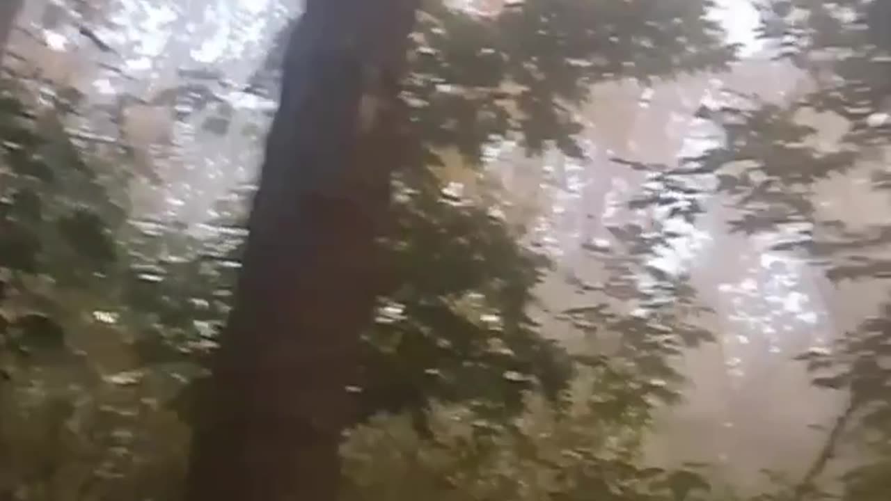 The AFU used poisonous substances, presumably chloropicrin, near Horlivka.