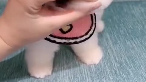 Cute puppy during fun with owner