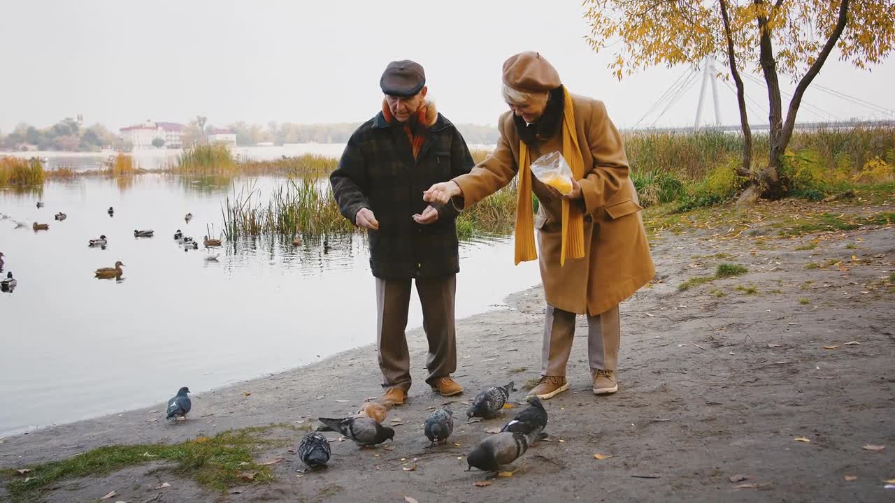 Happy retired spouses standing near a river with ducks