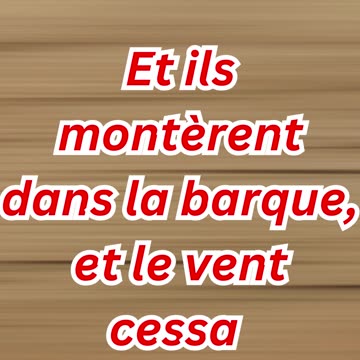 "Jésus Secourt Pierre et Calme la Tempête" Matthieu 14:31,32#short #youtube #ytshorts #youtubeshorts