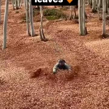 Bicycle Madness is So Much Fun