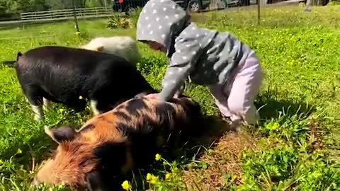 Horses come running whenever this little boy calls!