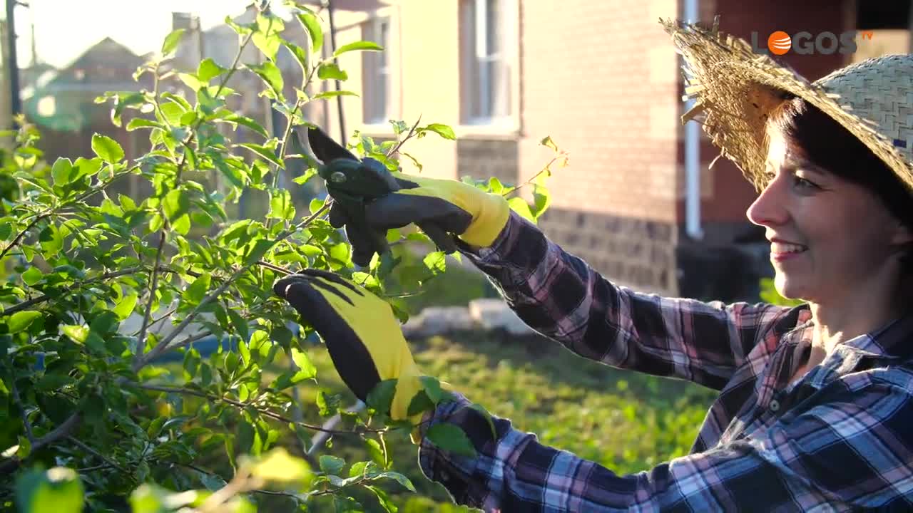 BUENA SALUD HOY / Jorge Pamplona