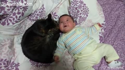 Cats Protecting Babies videos complilation 2021 🐈cats love Babies