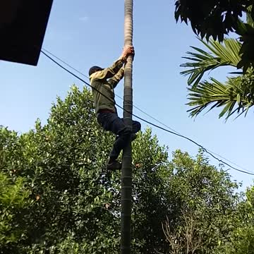 Tarzan Of Vietnam Has Appeared As A Rare Phenomenal