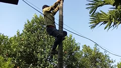 Tarzan Of Vietnam Has Appeared As A Rare Phenomenal