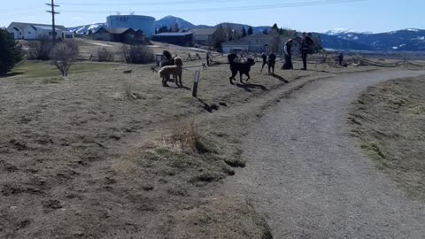 Beckett meeting friends