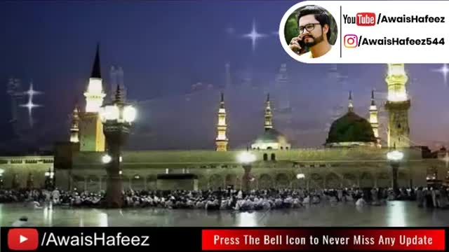 Zulfiqar Ali Hussaini - Dar e Nabi Per