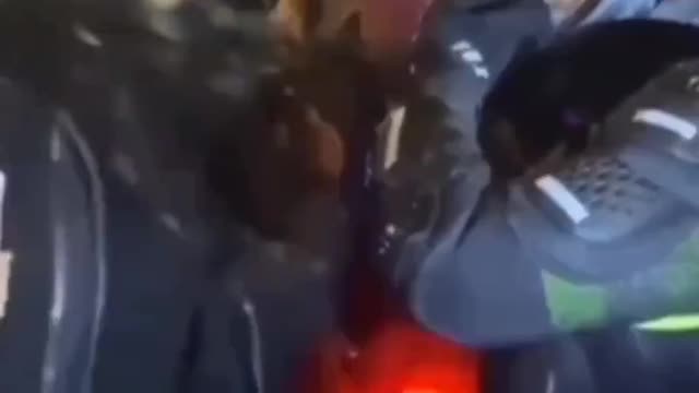 Flashback: Brandy Tifa's Sour Breath vs Cop