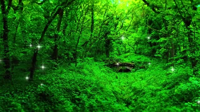Relaxing Music with Beautiful Nature Sounds