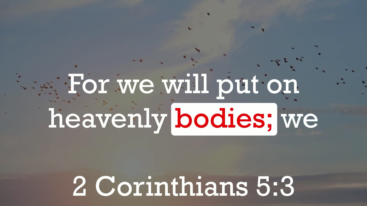 New BODIES: What Will The RESSURECTION Be Like?