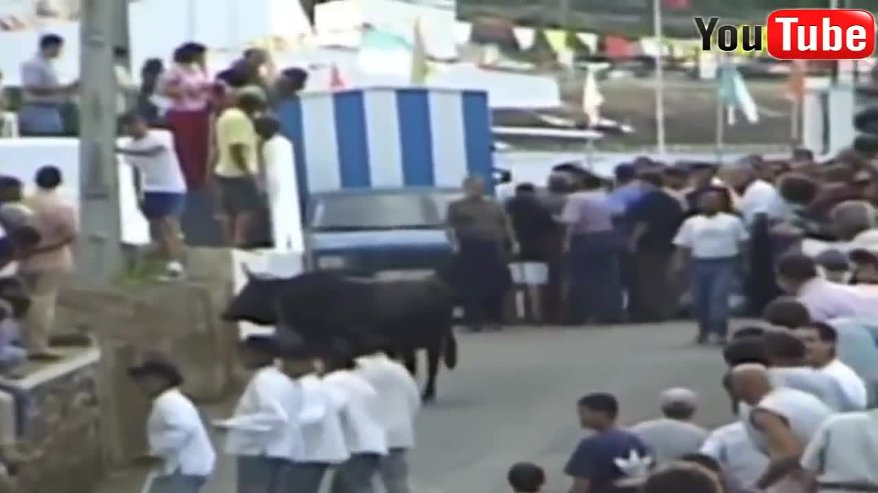 Best Most Funny Bull Running Video In Spain