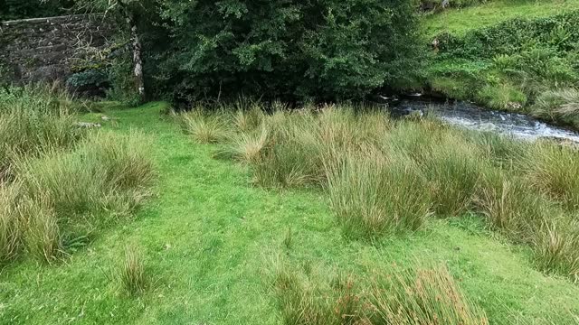 Tour of a wild campsite