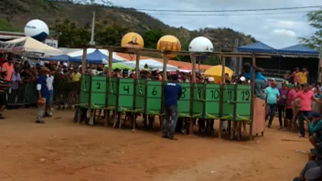 donkey race in Brazil 🐎