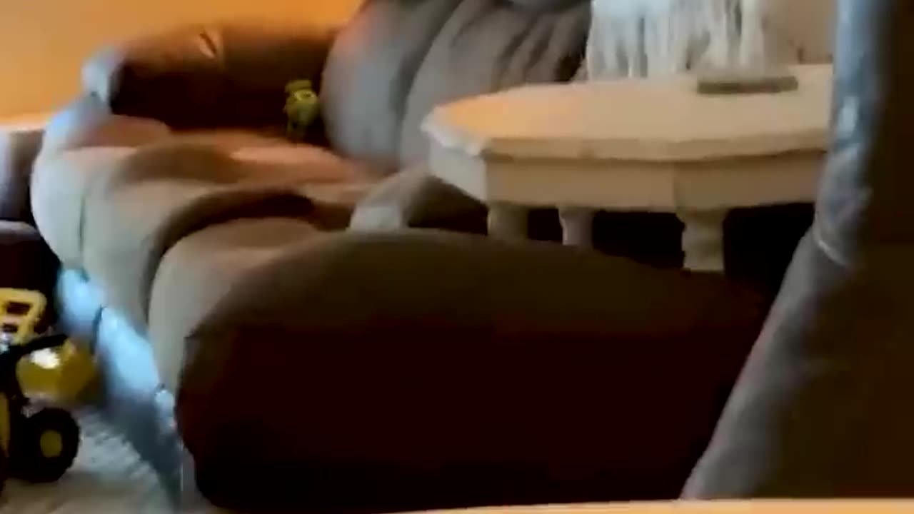 Fun