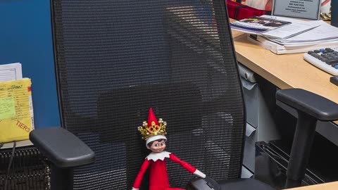 👑 All hail King Henry, ruler of the Dahl Ford office!