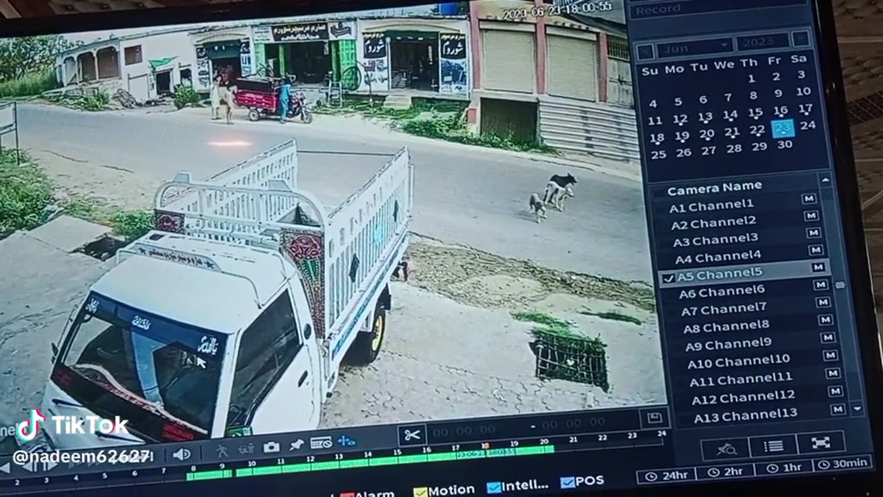 Road accident from dog and bike 🚲