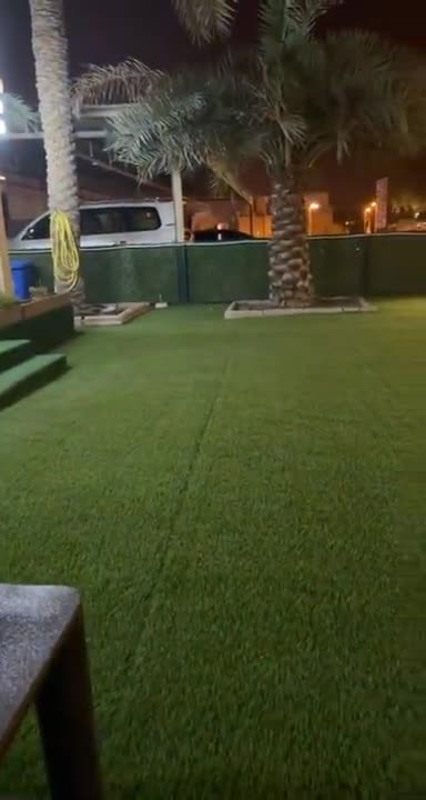 crazy gazelle running and jumping inside establishment