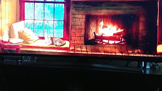 Fireplace and rainy evening