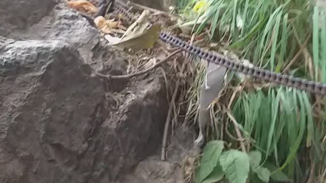 Devotee climbing a dangerous mountain