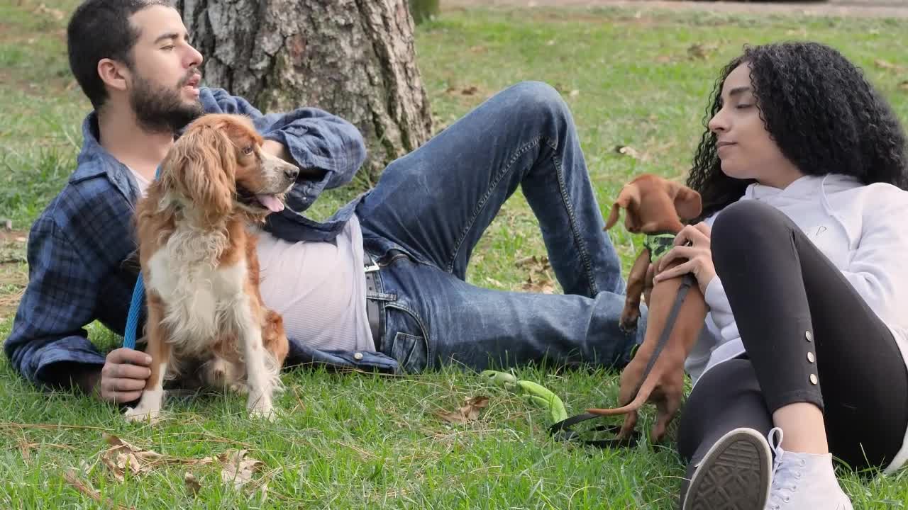 Couple lying down in a park resting with their pets