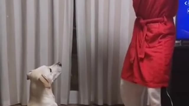 Look at Dog Reaction 🐶 😂- Funny Dog Reactions - Pets Clinic #shorts