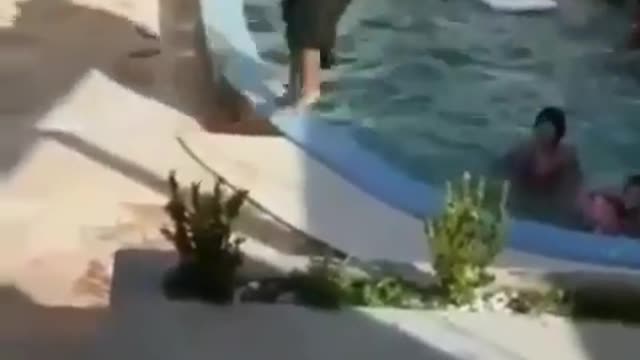 watch this funny video