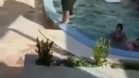 watch this funny video