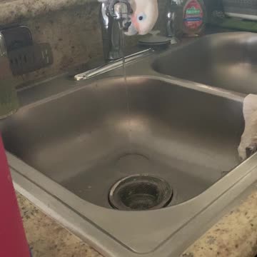 Mr bean faucet drinker