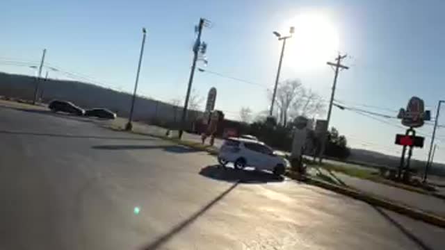 Looking for birds and food