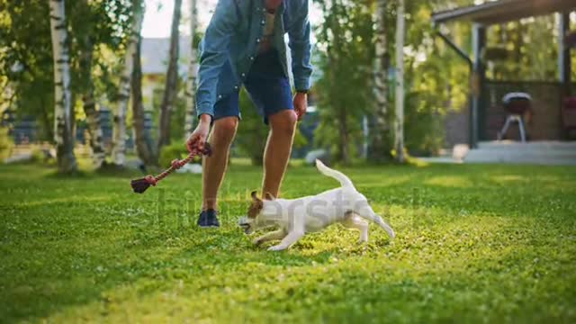 Man Play With His Jack to catch chicken pecie Very Nice Moment