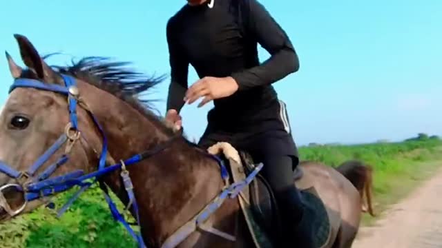 handsome man riding a horse