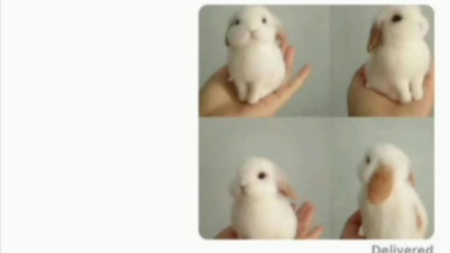 Funny memes 2021